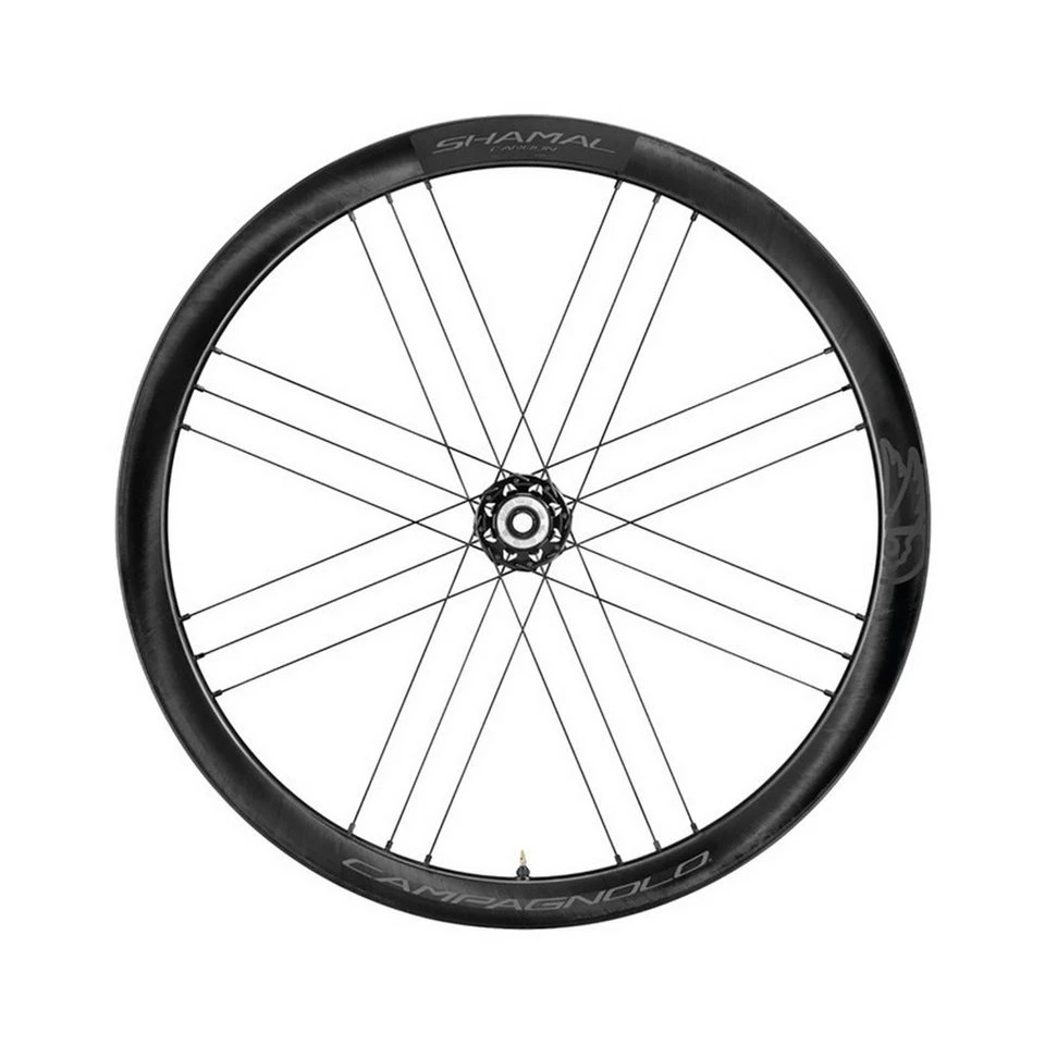 CAMPAGNOLO Shamal DB2Way Fit Vorderrad inklusive Adapter Kit AC21N3W